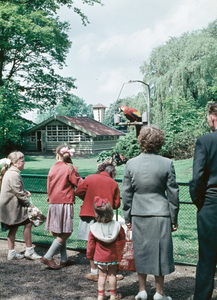 824553 Afbeelding van enkele bezoekers van het Julianapark te Utrecht bij de papegaaien.